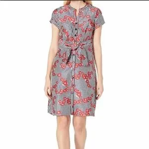 Adrianna Papell dress